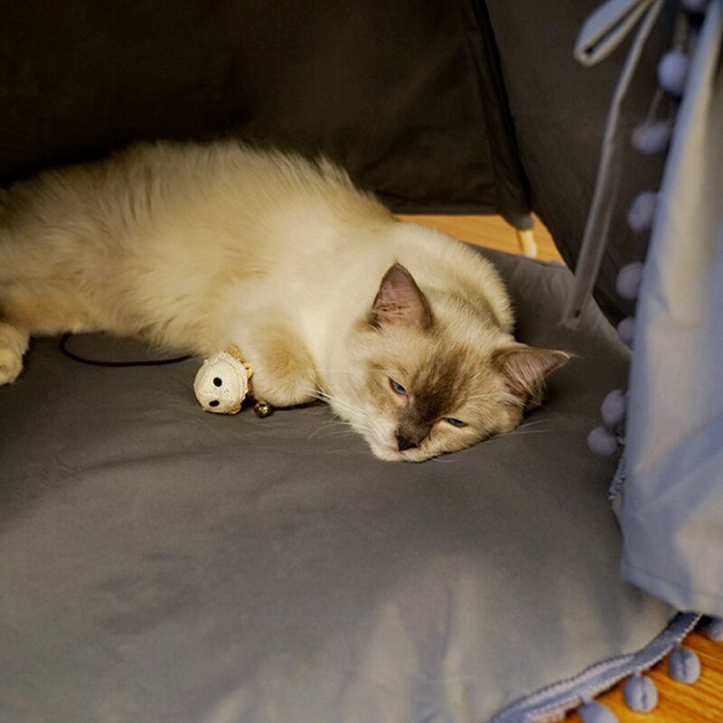 achat-tipi-chat-confortable