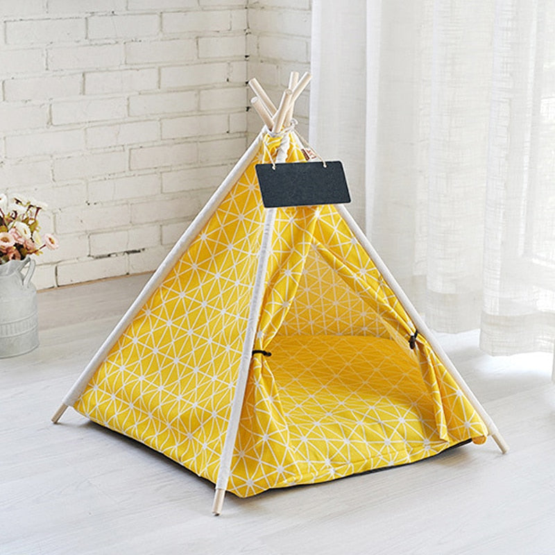 tipi-chat-avec-coussin
